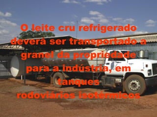 O leite cru refrigerado deverá ser transportado a granel da propriedade para a indústria, em tanques rodoviários isotérmicos 