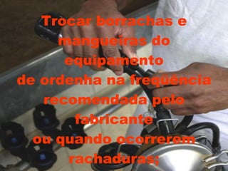 Trocar borrachas e mangueiras do equipamento de ordenha na freqüência recomendada pelo fabricante ou quando ocorrerem rachaduras; 