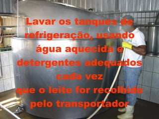 Lavar os tanques de refrigeração, usando água aquecida e detergentes adequados cada vez que o leite for recolhido pelo transportador 