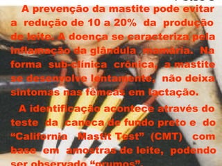   A prevenção da mastite pode evitar a  redução de 10 a 20%  da  produção de leite. A doença se caracteriza pela inflamação da glândula  mamária.  Na forma  sub-clínica  crônica,  a mastite se desenvolve lentamente,  não deixa sintomas nas fêmeas em lactação. A identificação acontece através do teste  da  caneca de fundo preto e  do “California  Mastit Test”  (CMT)  com base  em  amostras de leite,  podendo ser observado “grumos”. 