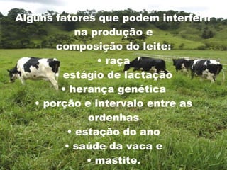 Alguns fatores que podem interferir na produção e composição do leite: • raça • estágio de lactação • herança genética • porção e intervalo entre as ordenhas • estação do ano • saúde da vaca e • mastite. 