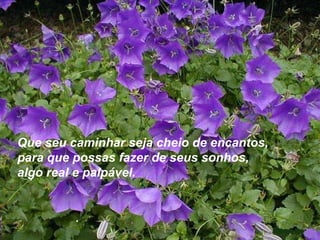 Que seu caminhar seja cheio de encantos,  para que possas fazer de seus sonhos,  algo real e palpável.   