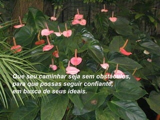 Que seu caminhar seja sem obstáculos,  para que possas seguir confiante,  em busca de seus ideais.  