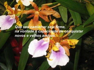 Que seu caminhar seja firme,  na vontade e capacidade de conquistar  novos e velhos amigos.  