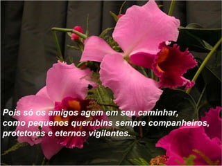 Voor de vermoeidheid die ik voel  naar een dag werken, want dat wil zeggen dat ik nog de gezondheid heb om te werken… Pois só os amigos agem em seu caminhar,  como pequenos querubins sempre companheiros,  protetores e eternos vigilantes.   