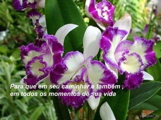 Para que em seu caminhar e também ,  em todos os momentos de sua vida   