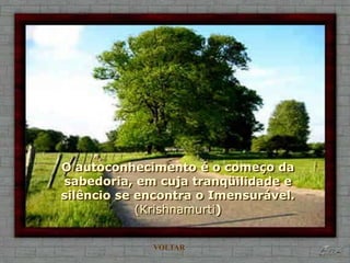 O autoconhecimento é o começo da
sabedoria, em cuja tranqüilidade e
silêncio se encontra o Imensurável.
            (Krishnamurti)


             VOLTAR
 