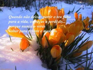 VISITE para mensagens gratuitas
PowerPointSemanal
Quando não deixas partir o teu filho
para a vida, começas a perdê-lo...
porque nunca o verás
voltar para ti livre e maduro.
 