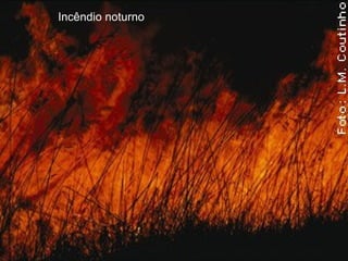 Incêndio noturno
 