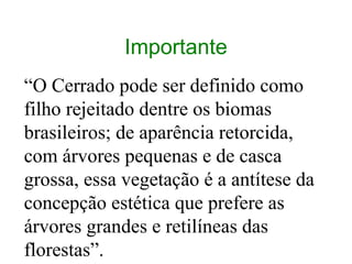 Importante
“O Cerrado pode ser definido como
filho rejeitado dentre os biomas
brasileiros; de aparência retorcida,
com árvores pequenas e de casca
grossa, essa vegetação é a antítese da
concepção estética que prefere as
árvores grandes e retilíneas das
florestas”.
 