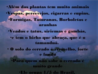 •Além das plantas tem muito animais
•Vespas, percevejos, cigarras e cupins,
•Formigas, Taturanas, Borboletas e
aranhas
•Veados e tatus, siriemas e gambás,
•e tem o bicho que abraça, que é o
tamanduá. 
• O solo do cerrado é vermelho, forte
e fundo
•Para quem não sabe o cerrado é
muito grande
•Ele ocupa 1/5 do Brasil, 
 