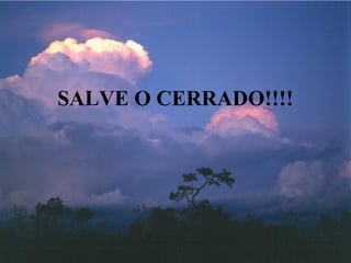SALVE O CERRADO!!!!
 
