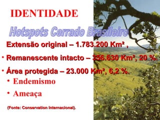 • Extensão original – 1.783.200 Km² ,Extensão original – 1.783.200 Km² ,
• Remanescente intacto – 356.630 Km², 20 %.Remanescente intacto – 356.630 Km², 20 %.
• Área protegida – 23.000 Km², 6,2 %.Área protegida – 23.000 Km², 6,2 %.
(Fonte: Conservation Internacional).(Fonte: Conservation Internacional).
IDENTIDADE
• Endemismo
• Ameaça
 