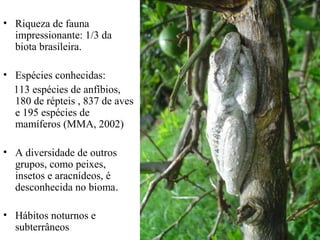 • Riqueza de fauna
impressionante: 1/3 da
biota brasileira.
• Espécies conhecidas:
113 espécies de anfíbios,
180 de répteis , 837 de aves
e 195 espécies de
mamíferos (MMA, 2002)
• A diversidade de outros
grupos, como peixes,
insetos e aracnídeos, é
desconhecida no bioma.
• Hábitos noturnos e
subterrâneos
 