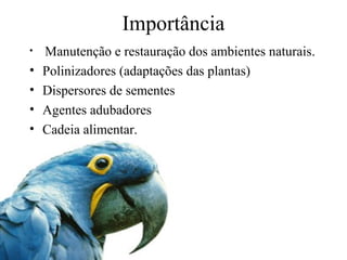 Importância
• Manutenção e restauração dos ambientes naturais.
• Polinizadores (adaptações das plantas)
• Dispersores de sementes
• Agentes adubadores
• Cadeia alimentar.
 
