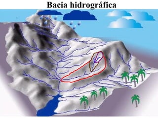 Bacia hidrográfica
 