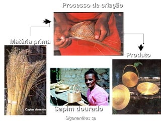 Matéria primaMatéria prima
Processo de criaçãoProcesso de criação
ProdutoProduto
Capim douradoCapim dourado
Sigonanthus spSigonanthus sp
 