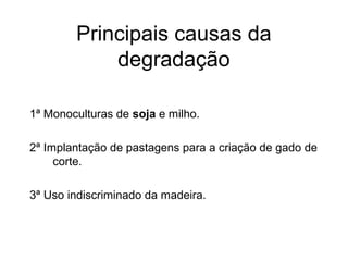 Principais causas da
degradação
1ª Monoculturas de soja e milho.
2ª Implantação de pastagens para a criação de gado de
corte.
3ª Uso indiscriminado da madeira.
 