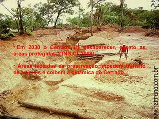 •.Em 2030 o Cerrado irá desaparecer, exceto as
áreas protegidas (ONG CI, 2004).
• Áreas isoladas de preservação impedem trânsito
de animais e coíbem a dinâmica do Cerrado.
 