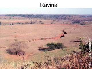 Ravina
 