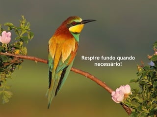 Respire fundo quando
     necessário!
 