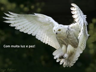 Com muita luz e paz!
 