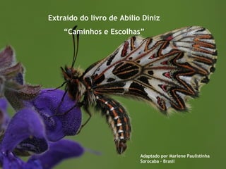 Extraído do livro de Abílio Diniz
    “Caminhos e Escolhas”




                           Adaptado por Marlene Paulistinha
                           Sorocaba – Brasil
 