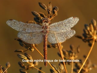 Guarda minha língua de toda maldade.
 