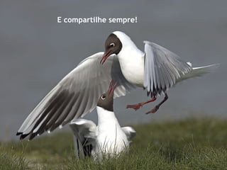 E compartilhe sempre!
 