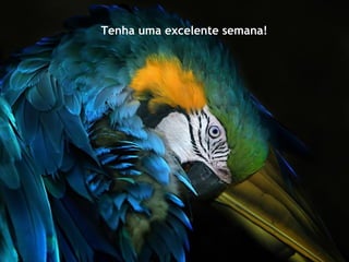 Tenha uma excelente semana!
 