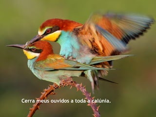 Cerra meus ouvidos a toda a calúnia.
 