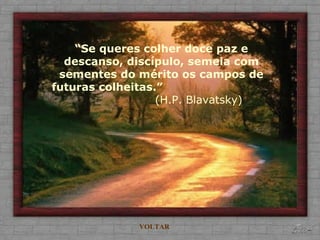 “ Se queres colher doce paz e descanso, discípulo, semeia com sementes do mérito os campos de futuras colheitas.”   (H.P. Blavatsky) VOLTAR 