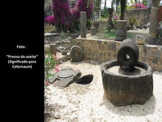 Foto:  “Prensa do azeite” (Significado para Cafarnaum) 
