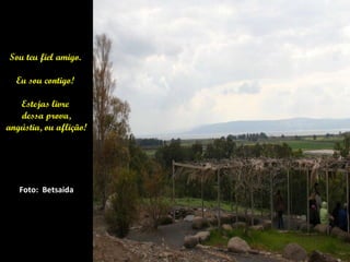 Sou teu fiel amigo.  Eu sou contigo!  Estejas livre  dessa prova, angústia, ou aflição! Foto:  Betsaida 