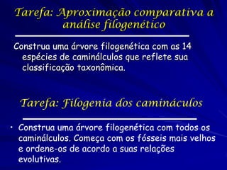 Tarefa: Aproximação comparativa a
análise filogenético
Construa uma árvore filogenética com as 14
espécies de caminálculos que reflete sua
classificação taxonômica.

Tarefa: Filogenia dos camináculos
• Construa uma árvore filogenética com todos os
caminálculos. Começa com os fósseis mais velhos
e ordene-os de acordo a suas relações
evolutivas.

 