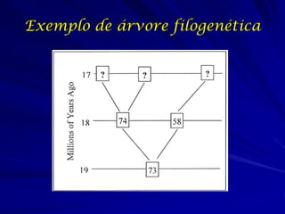 Exemplo de árvore filogenética

 