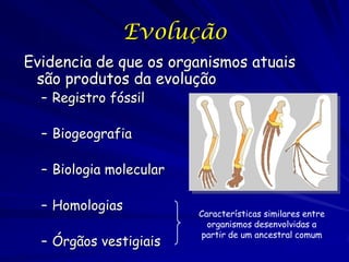 Evolução
Evidencia de que os organismos atuais
são produtos da evolução
– Registro fóssil

– Biogeografia
– Biologia molecular
– Homologias
– Órgãos vestigiais

Características similares entre
organismos desenvolvidas a
partir de um ancestral comum

 
