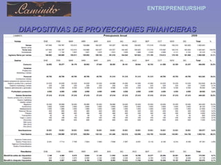 DIAPOSITIVAS DE PROYECCIONES FINANCIERAS 