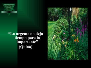 “ Lo urgente no deja tiempo para lo importante” (Quino) 