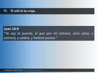 EL MENSAJE DEL CAMINO A EMAUS - Desde Juan El Bautista hasta la Resurrección.
VI. El redil de las ovejas
Juan 10:9
"Yo soy la puerta; el que por mí entrare, será salvo; y
entrará, y saldrá, y hallará pastos."
 