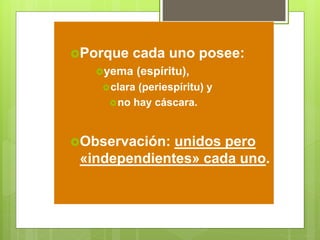Porque cada uno posee:
yema (espíritu),
clara (periespíritu) y
no hay cáscara.
Observación: unidos pero
«independientes» cada uno.
 