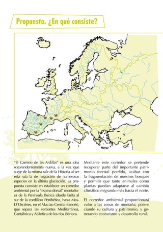 4
“El Camino de las Ardillas” es una idea
sorprendentemente nueva, a la vez que
surge de la misma raíz de la Historia al ser
esta ruta la de migración de numerosas
especies en la última glaciación. La pro-
puesta consiste en establecer un corredor
ambiental por la “espina dorsal” montaño-
sa de la Península Ibérica (desde Tarifa al
sur de la cordillera Penibética, hasta Mas-
D´Orcières, en el Macizo Central francés),
que separa las vertientes Mediterránea,
Cantábrica y Atlántica de los ríos ibéricos.
Mediante este corredor se pretende
recuperar parte del importante patri-
monio forestal perdido, acabar con
la fragmentación de nuestros bosques
y permitir que tanto animales como
plantas puedan adaptarse al cambio
climático migrando más hacia el norte.
El corredor ambiental proporcionará
valor a las zonas de montaña, poten-
ciando su cultura y patrimonio, y ge-
nerando ecoturismo y desarrollo rural.
Propuesta. ¿En qué consiste?
 
