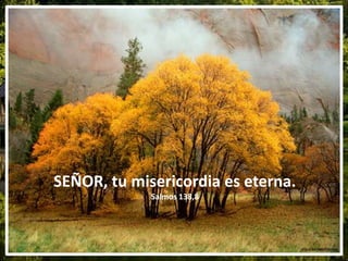 SEÑOR, tu misericordia es eterna.
Salmos 138,8
 