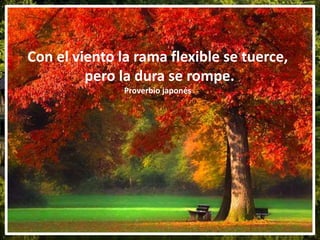 Con el viento la rama flexible se tuerce,
pero la dura se rompe.
Proverbio japonés
 