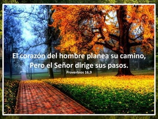 El corazón del hombre planea su camino,
Pero el Señor dirige sus pasos.
Proverbios 16,9
 
