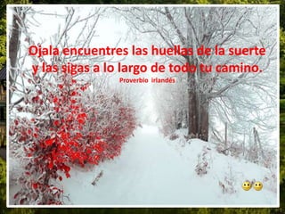 Ojala encuentres las huellas de la suerte
y las sigas a lo largo de todo tu camino.
Proverbio irlandés
 