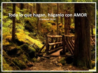 Todo lo que hagan, háganlo con AMOR
I Corintios 16,14.
 