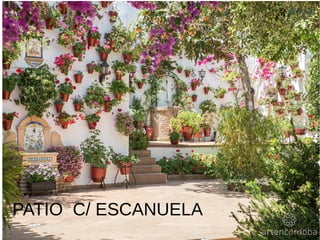 PATIO C/ ESCANUELA
