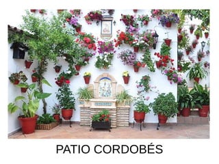 PATIO CORDOBÉS