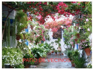 PATIO DE VECINOS